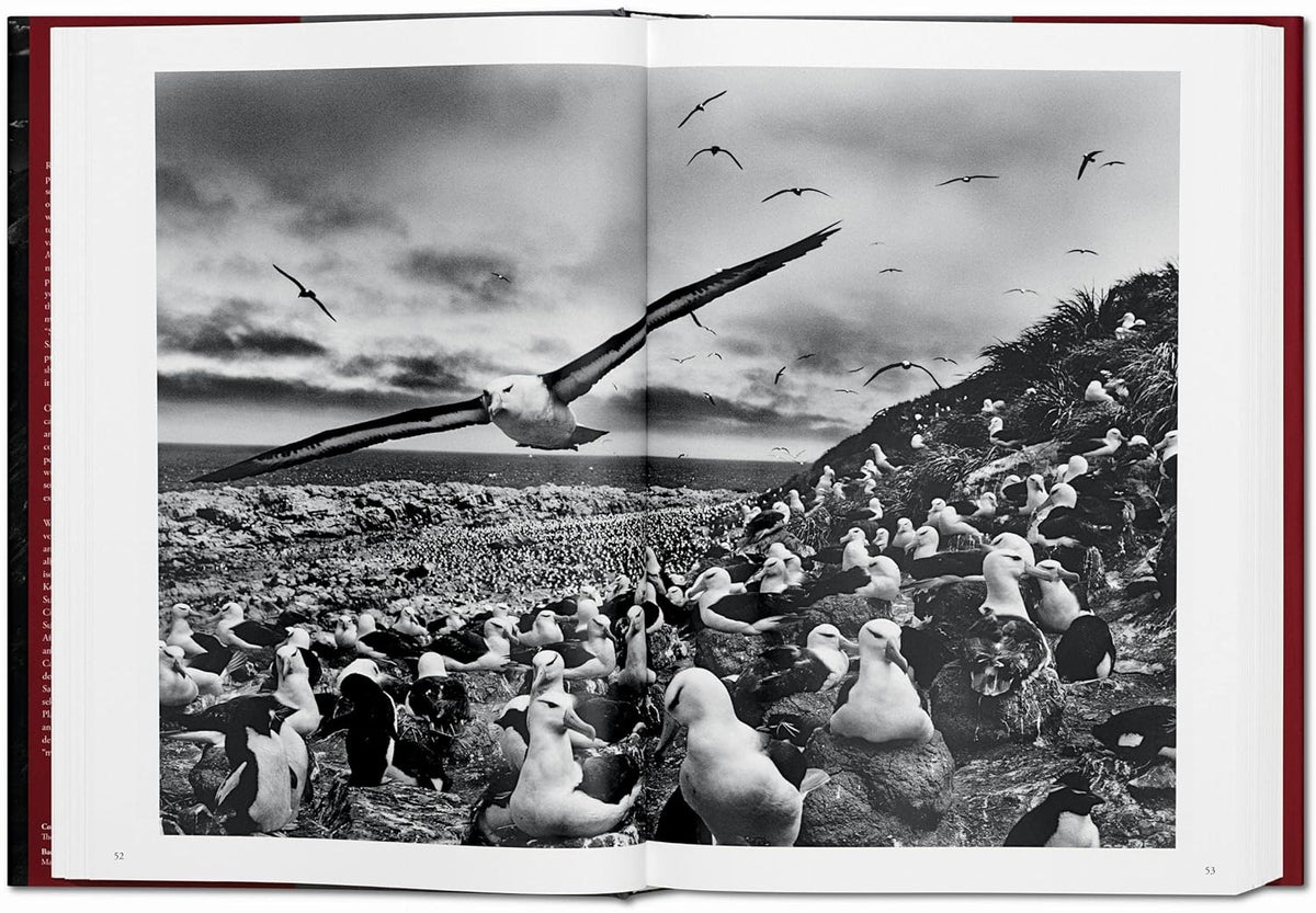 Genesis XL - Sebastiao Salgado