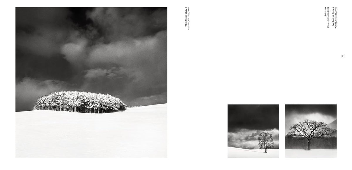 Forms of Japan - Michael Kenna