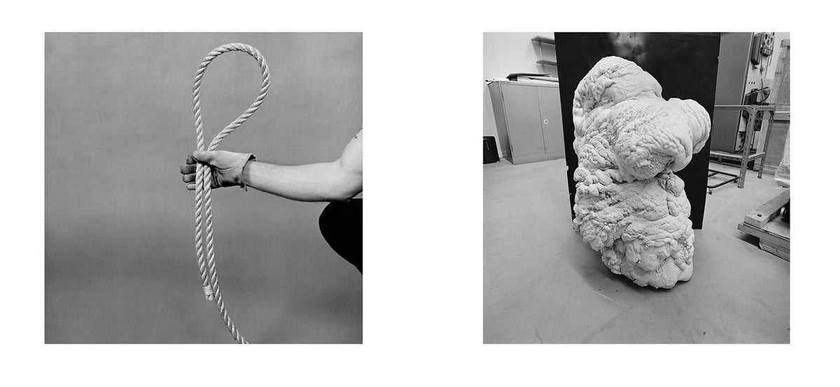 Larry Sultan & Mike Mandel: Evidence