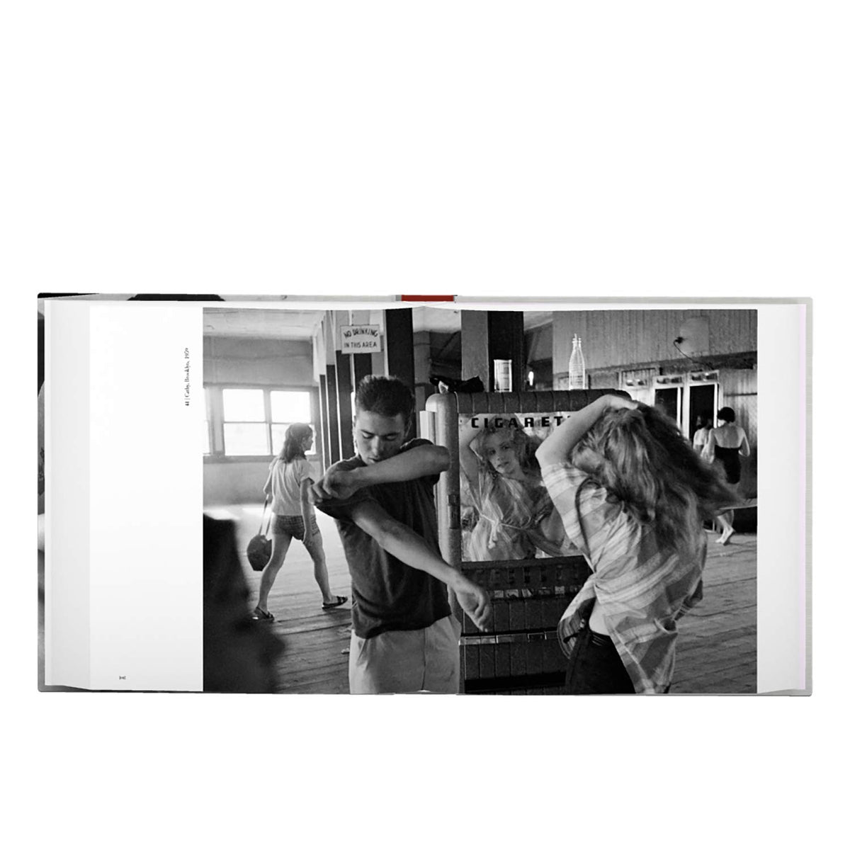 Bruce Davidson: Survey