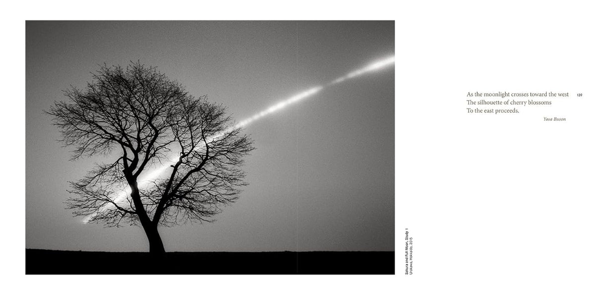 Forms of Japan - Michael Kenna