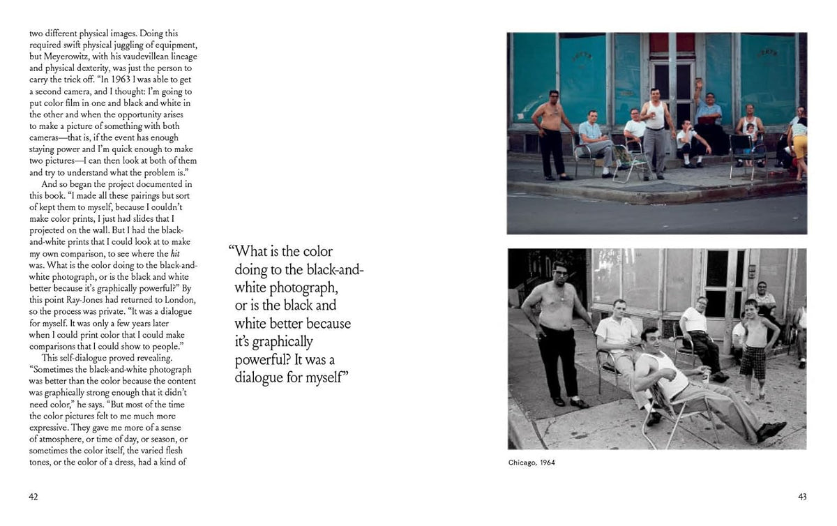 Joel Meyerowitz: A Question of Color