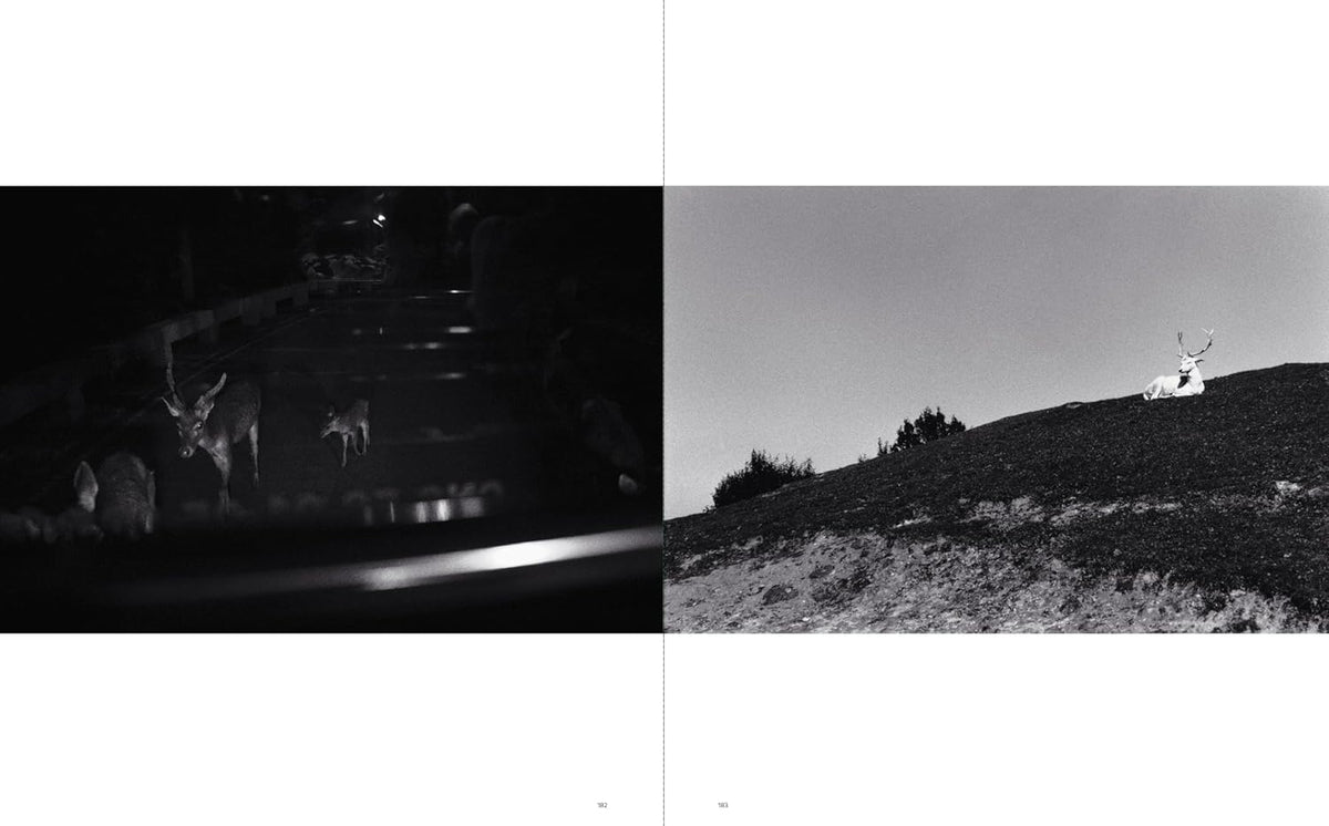 Sakiko Nomura: Tender Is the Night