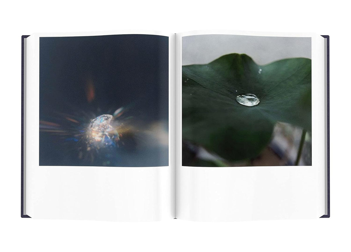 Rinko Kawauchi: Illuminance: The Tenth Anniversary Edition