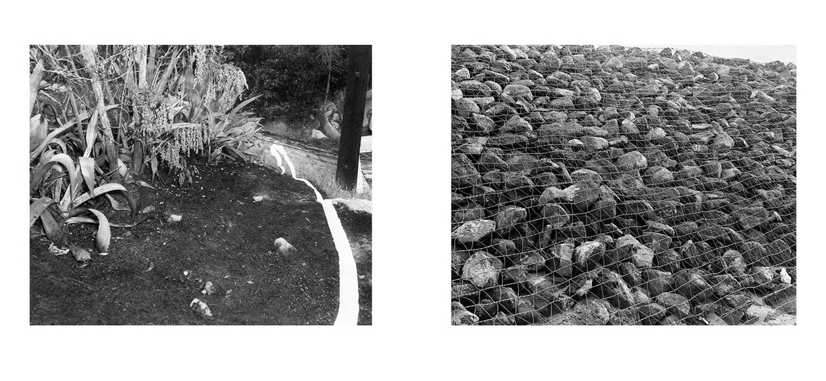 Larry Sultan & Mike Mandel: Evidence