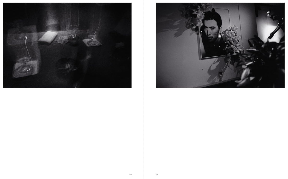 Sakiko Nomura: Tender Is the Night