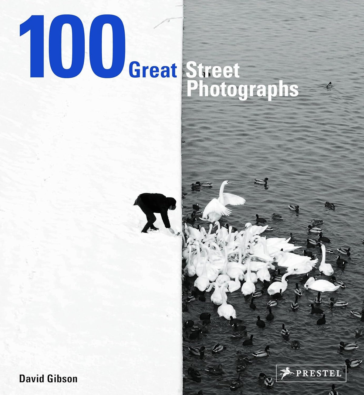 100 Great Street Photographs -  David Gibson
