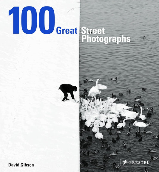 100 Great Street Photographs -  David Gibson