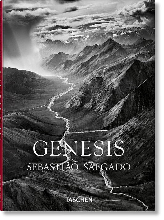 Sébastien Salgado. Genèse