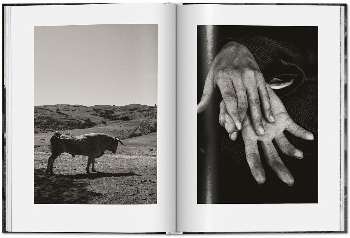 Peter Lindbergh: Untold Stories - SMALL