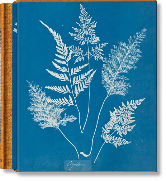 Anna Atkins - Cyanotypes