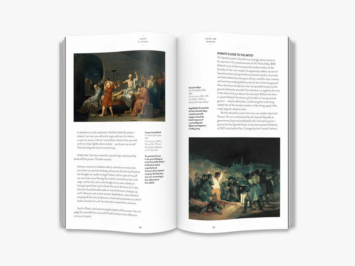 Looking At Pictures (Art Essentials) Susan Woodford