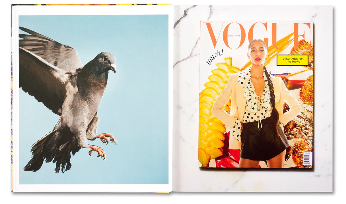 AMERICAN POLYCHRONIC - Roe Ethridge