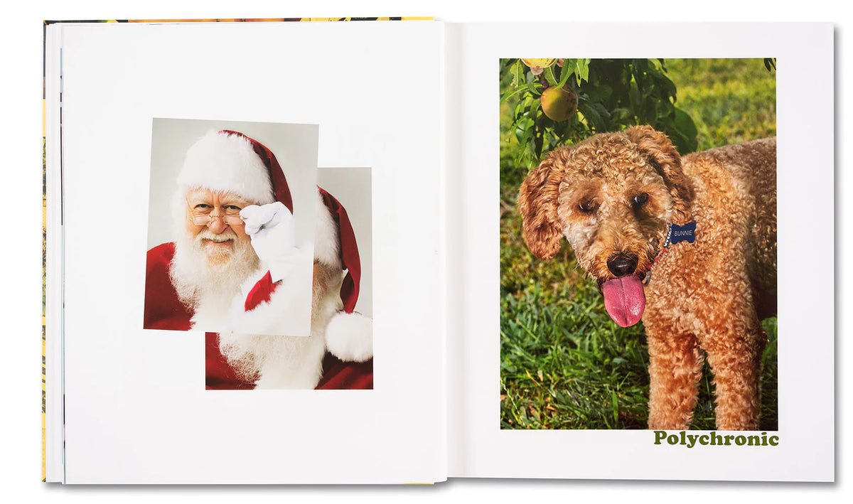 AMERICAN POLYCHRONIC - Roe Ethridge