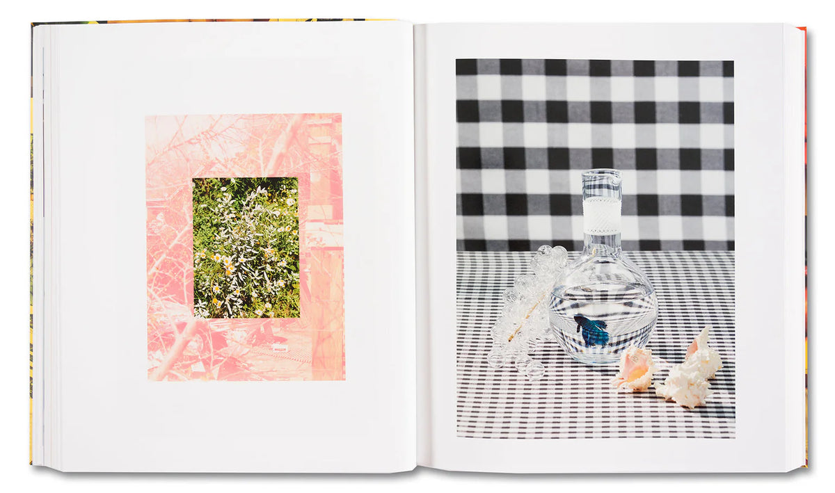 AMERICAN POLYCHRONIC - Roe Ethridge