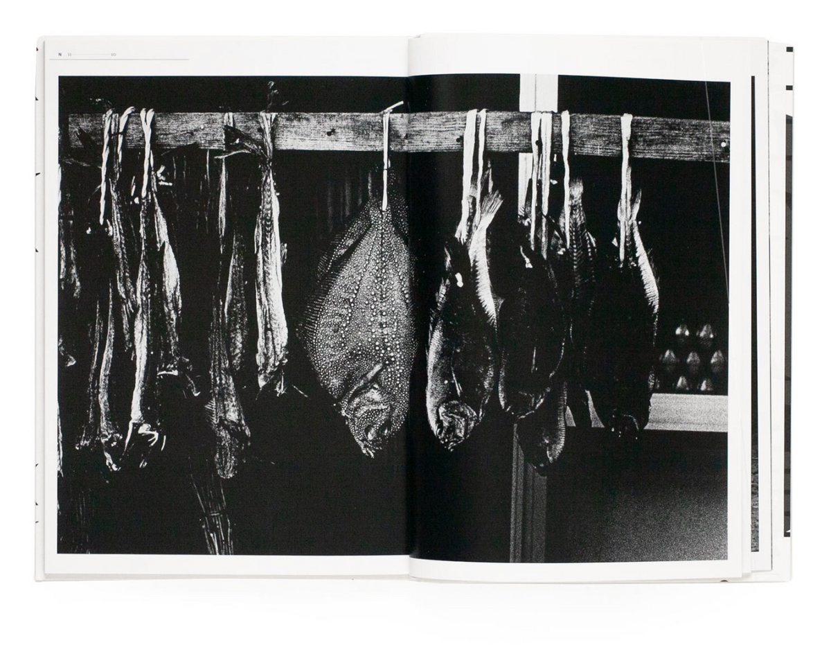 DUO by Hiroyasu Nakai and Daido Moriyama