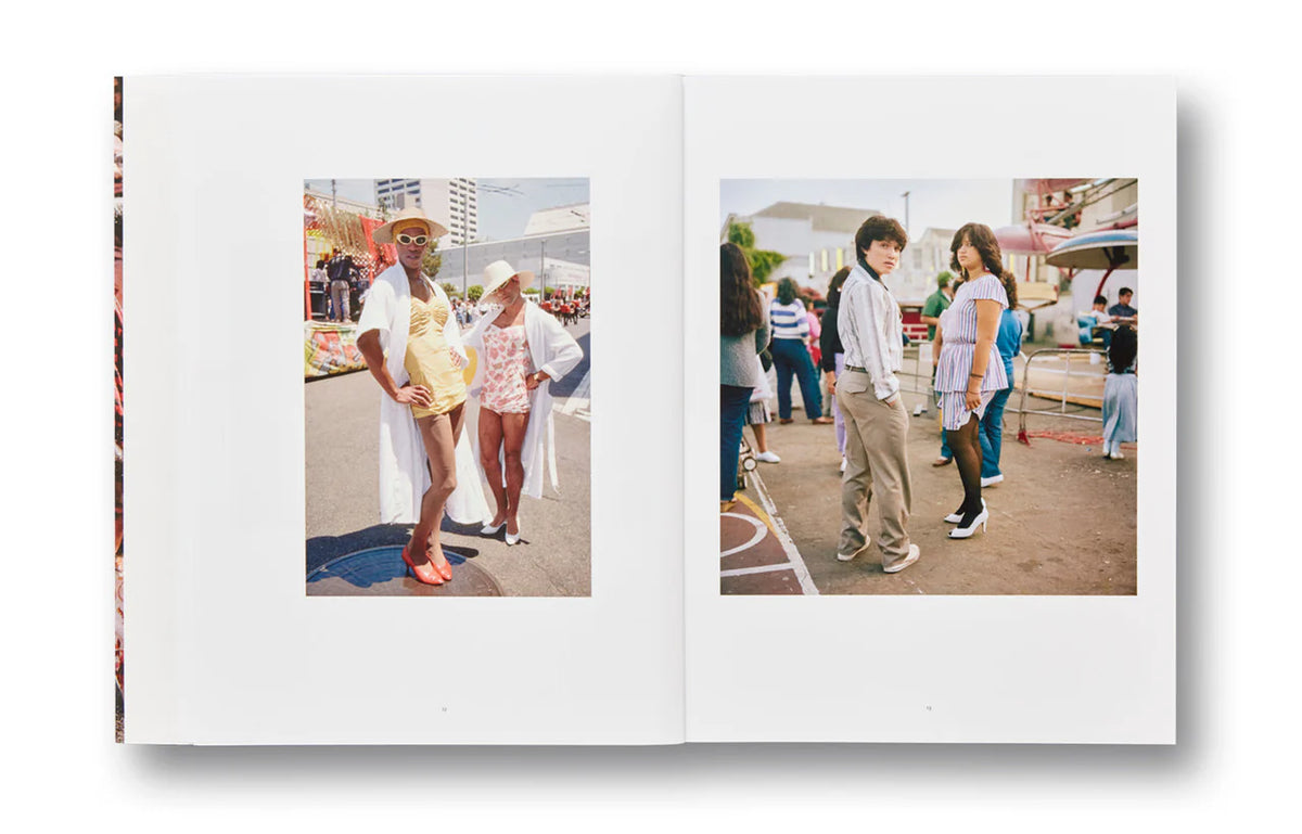 Public Matters - Janet Delaney